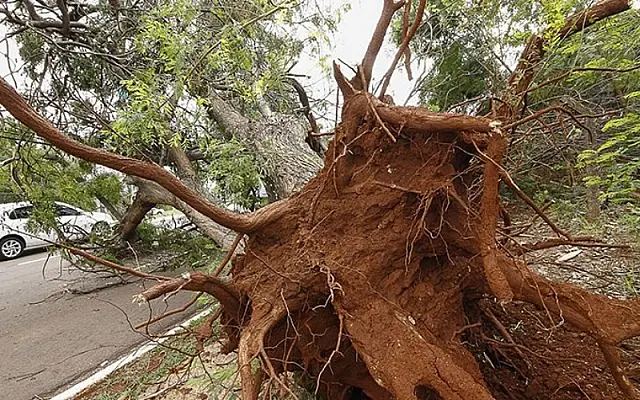 O que fazer antes e depois de um temporal? Veja algumas dicas