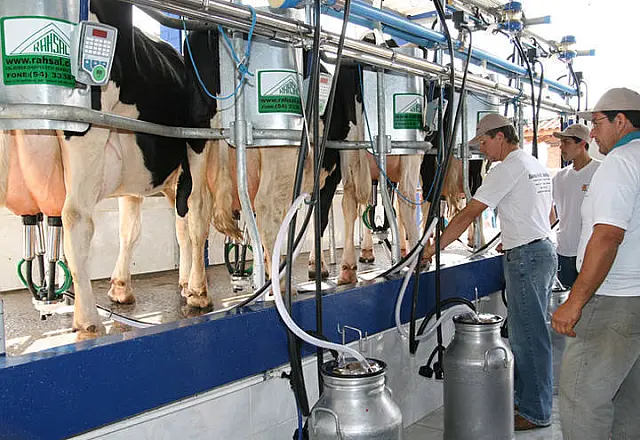 Semana do Leite terá diversas atrações a partir de 28 de maio