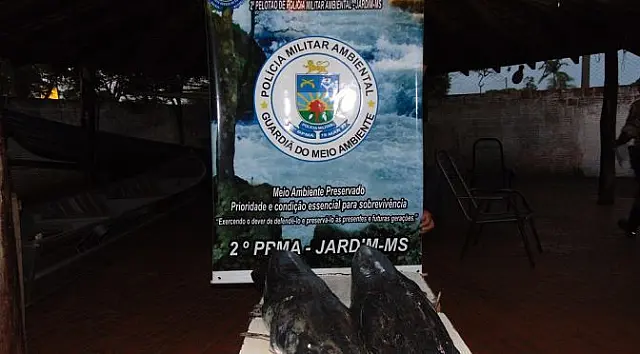 PMA prende e autua pedreiro por pesca predatória e apreende 37kg de pescado