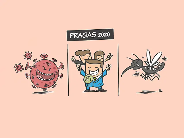 Pragas 2020