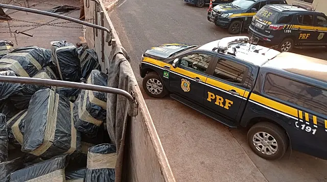 Polícia encontra 4,7 toneladas de maconha escondidas em carga de milho