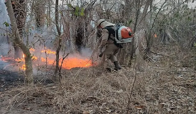 Chuva reduziu a três incêndios no Pantanal em combate pelos bombeiros