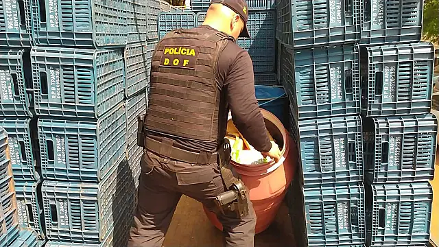 Mais de 900 kg de maconha são encontrados pelo DOF em meio à carga de caminhão