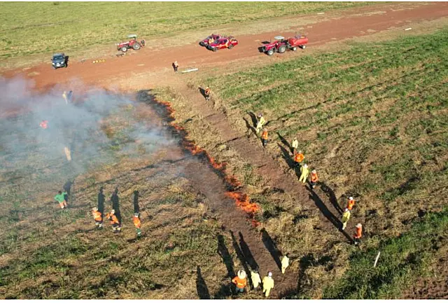 MS é pioneiro na política nacional do Manejo Integrado do Fogo