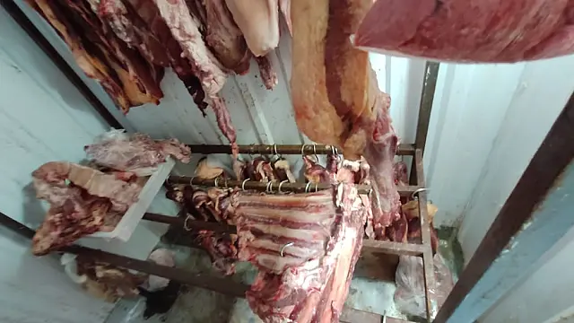 Mercado de Ladário é autado com 3,4 mil kg de carne imprópria para consumo