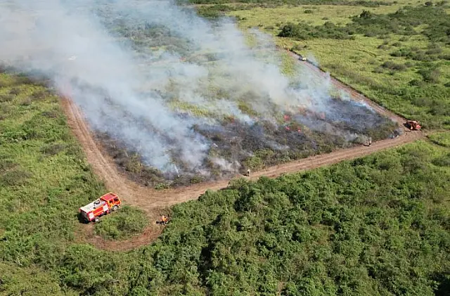 MS suspende queima controlada no Pantanal até dezembro