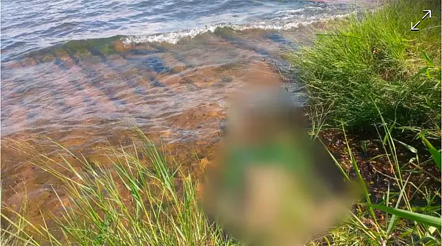 Paranaense é encontrado morto após se afogar em balneário de MS