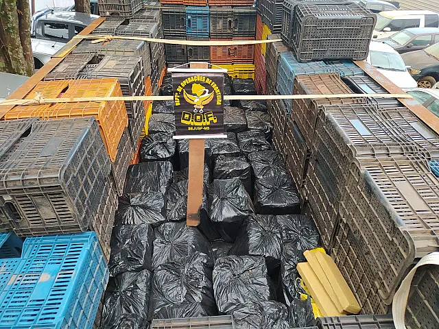 DOF mais que dobrou o volume de drogas apreendido em 2019