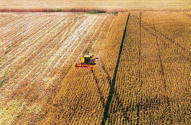 Mais de 60% da área cultivada com soja em MS já foi colhida