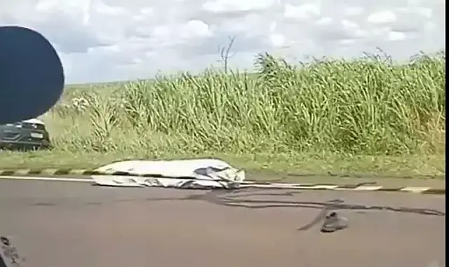 Trabalhador morre atropelado na BR-163