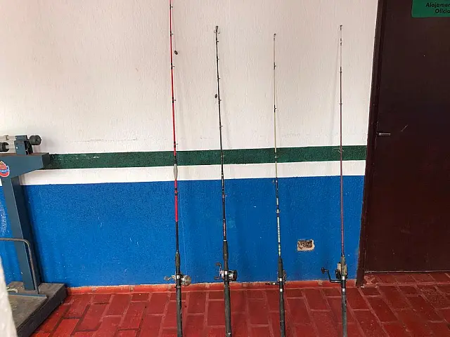 Grupo é autuado pela PMA por praticar pesca ilegal no rio Miranda