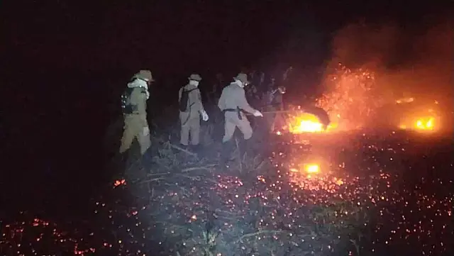 Incêndio mobiliza bombeiros com novos focos às margens do Rio Taquari