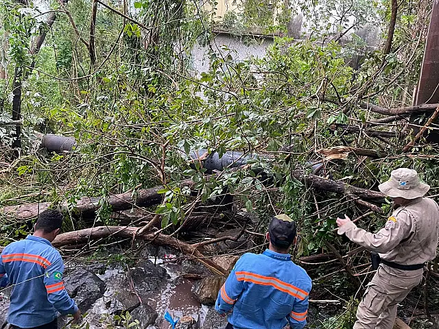 Ventos derrubam árvore em tubulação de água e Corumbá pode ficar sem abastecimento