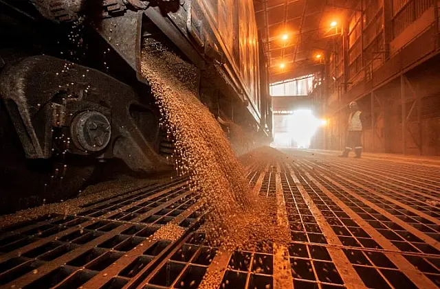 Produção da safra brasileira caiu 7,2% em 2024, estima IBGE