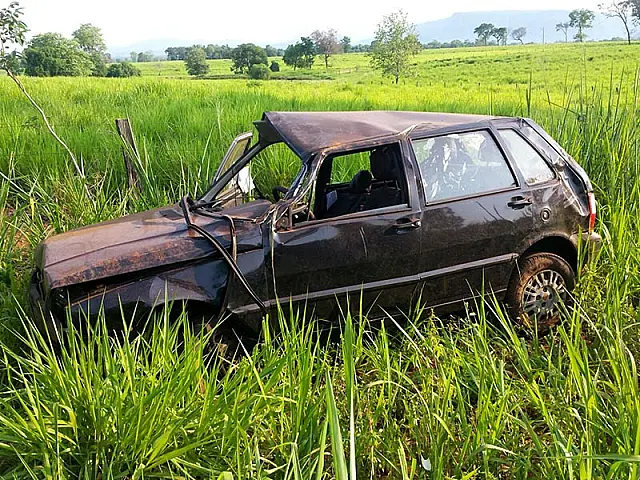 Condutor tenta desviar de animal, capota, e mulher morre na BR-262
