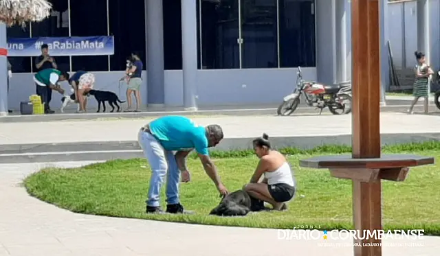 Cidades na fronteira com Corumbá garantem vacinação contra a raiva animal