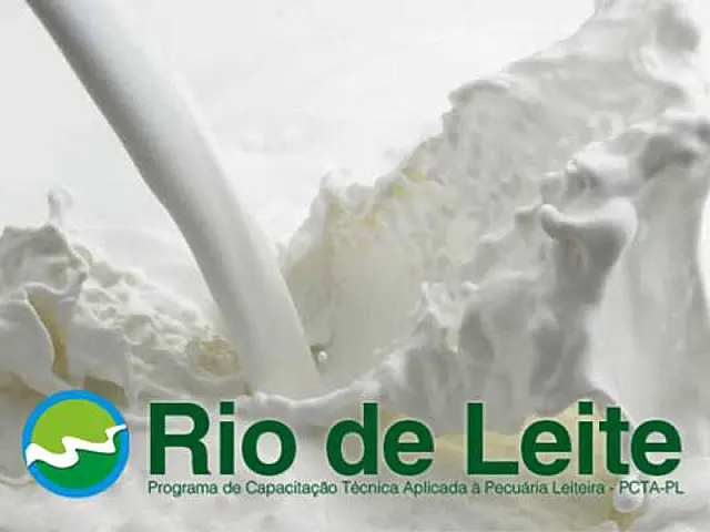 Programa Rio de Leite da UEMS completa 10 anos