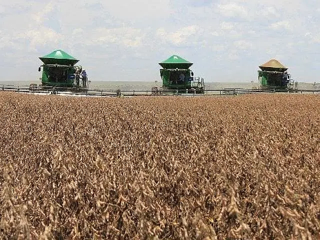 Agronegócio sustenta PIB do Estado, que cresce 4,9% e atinge R$ 96,3 bi