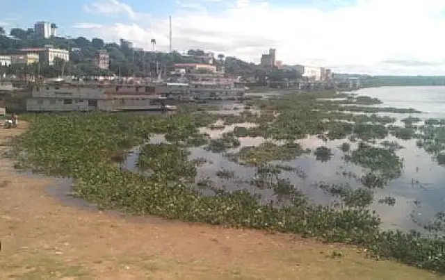 Homem dado como morto é encontrado vivo entre camalotes em Corumbá