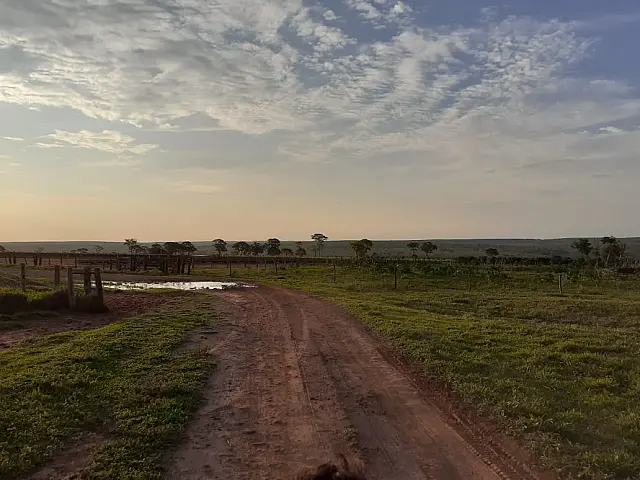 Homem usava WhatsApp para ameaçar matar a ex e foi preso em fazenda