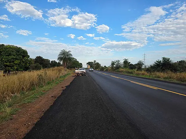 Motorista sobrevive após batida impressionante com vaca na BR-262