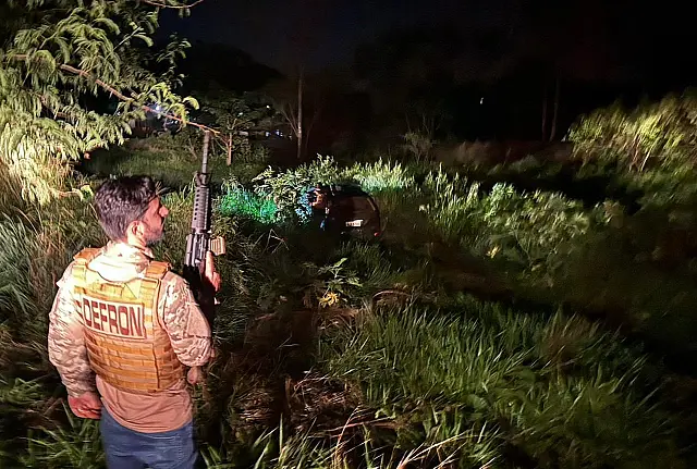 Polícia Civil apreende 700 kg de maconha em Sidrolândia