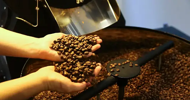 Cepea: Setor cafeeiro pode ser forçado a redirecionar produção
