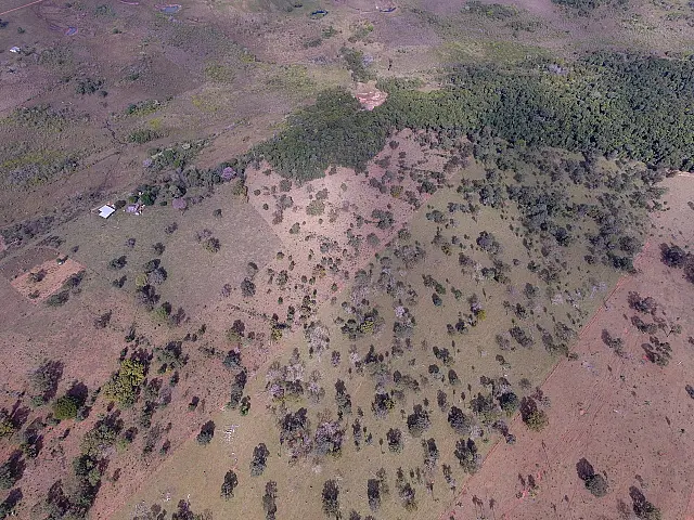 PMA de Jardim autua proprietária rural por desmatamento ilegal de 5 hectares
