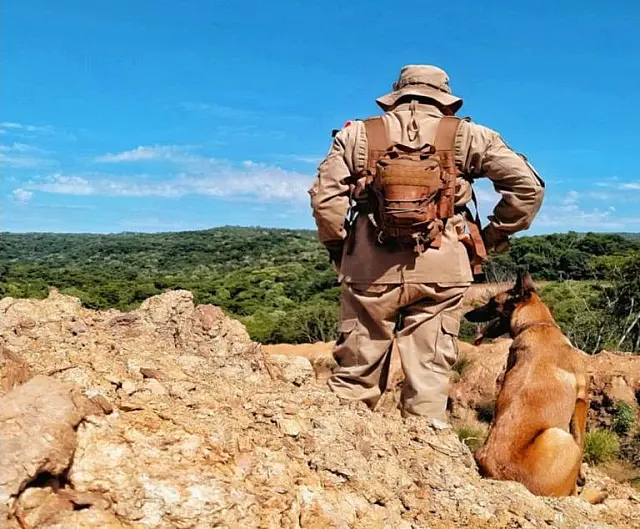 Cães do MS vão ajudar em resgate de vítimas em Petrópolis
