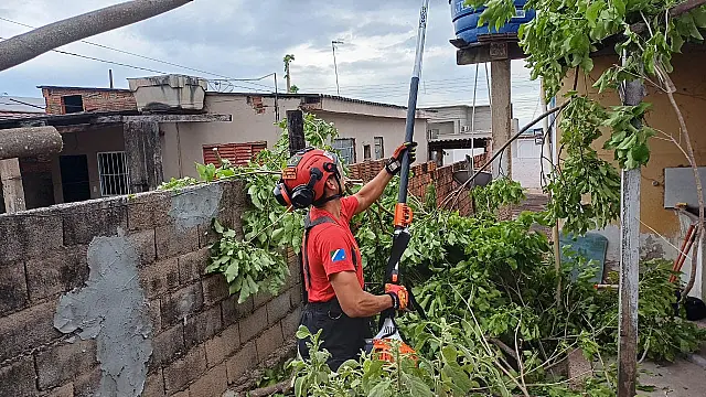 Ventania provoca queda de árvores e danos em residência em Corumbá e Ladário