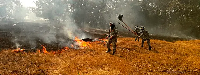 Ministério da Justiça reforça envio de bombeiros para combate aos incêndios no Pantanal