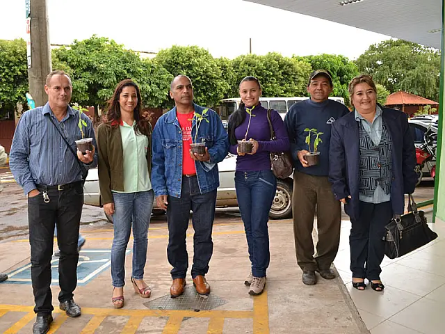 Rede Princesa distribui mudas de girassol no Dia Mundial do Meio Ambiente
