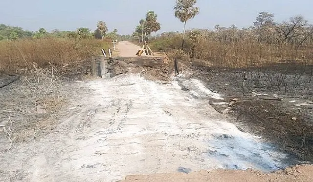 Queimadas no Pantanal destroem oito pontes de madeira na MS-243 e MS-195