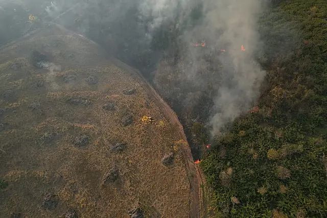 MS tem situação climática extrema e incêndios florestais