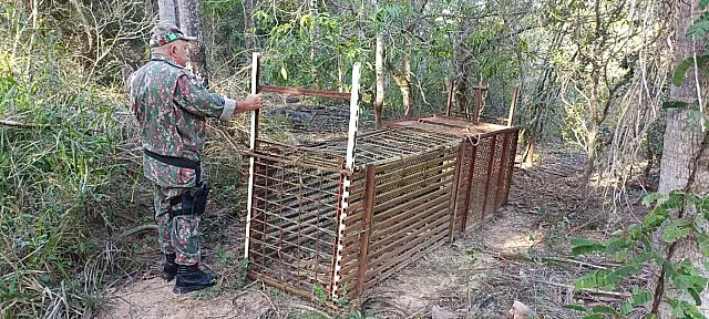 PMA evita caça e apreende armadilha ilegal