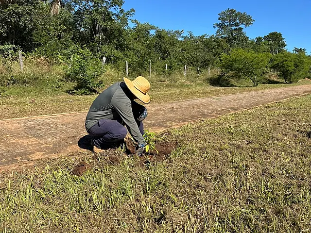 Bonito realiza ação de arborização na rodovia de acesso ao Balneário Municipal