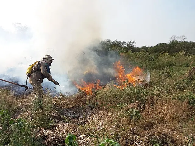 Bombeiros de Aquidauana ajudam no combate aos incêndios no Pantanal