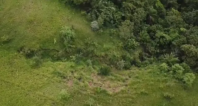 Plantio de mudas reforçam proteção ao Rio Salobra
