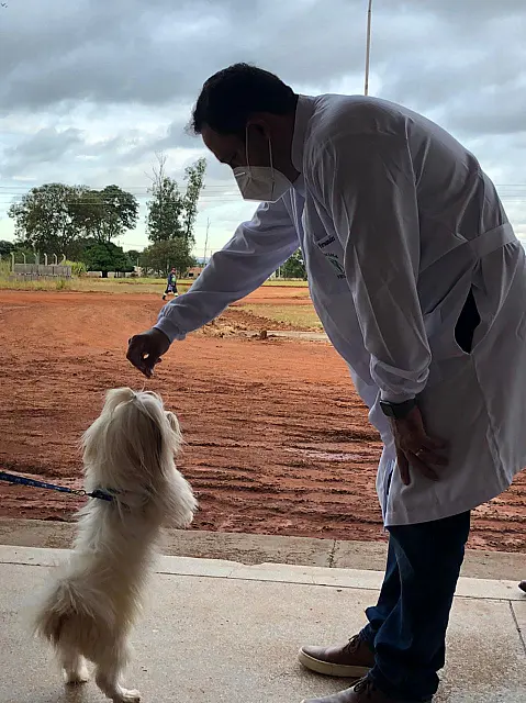 Lei institui Dia dos Protetores dos Animais em Mato Grosso do Sul