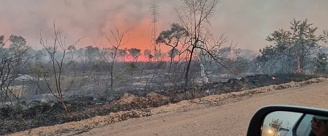 Incêndio no Pantanal avança para margens do Rio Miranda