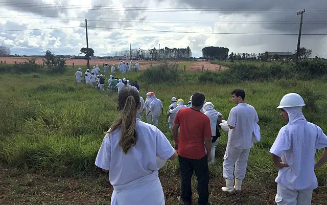 Traumas são 70% das causas de afastamento no trabalho em MS