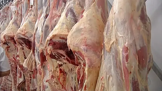 Dos 15 frigoríficos proibidos de exportar carne para os EUA, quatro são de MS