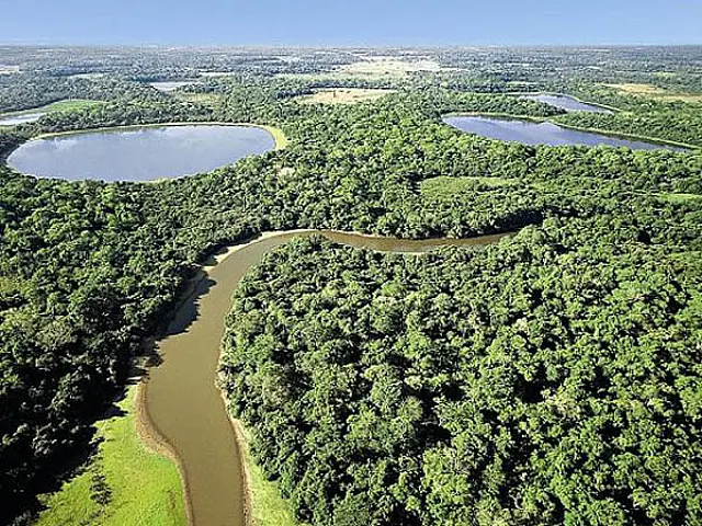 Governo de MS publica lei que institui Semana Estadual do Meio Ambiente