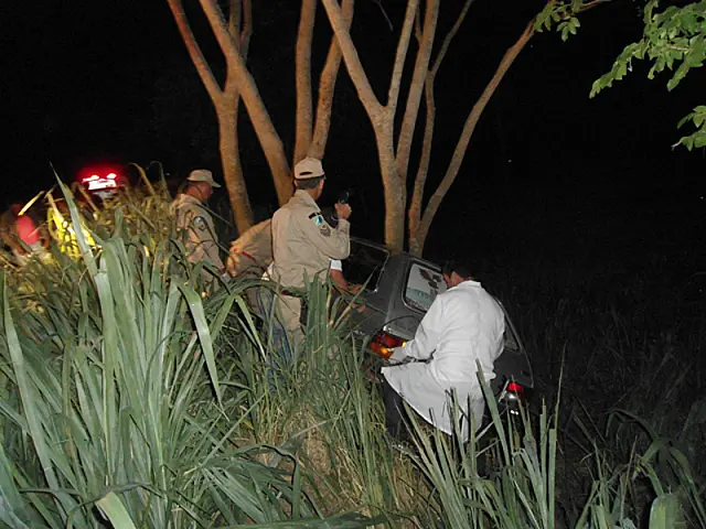 Carro atropela animal e cai em barranco na BR-262
