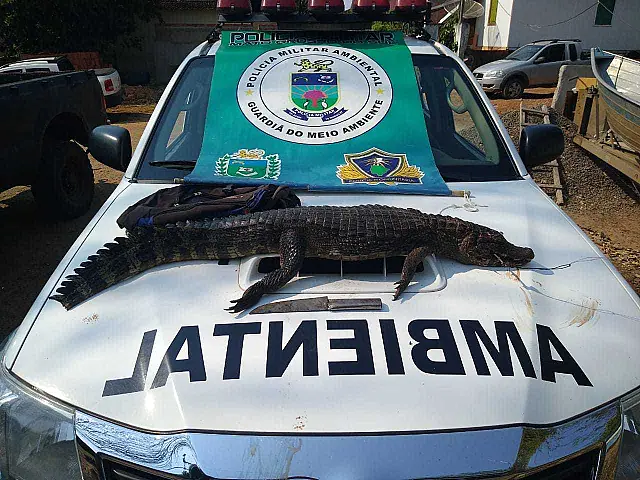 PMA autuou 4 caçadores e aplicou multa de R$ 17 mil em Aquidauana, Anastácio e Terenos