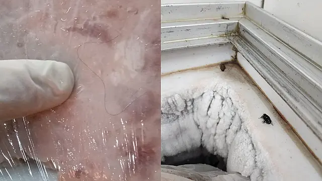 Comerciante é preso por venda de carne com mosca e cabelo em Campo Grande