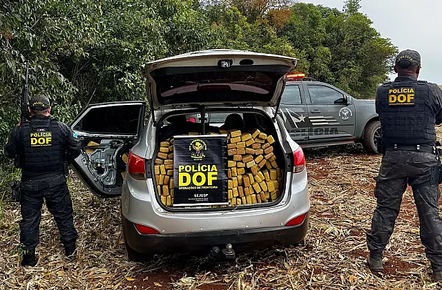 DOF apreende quase 900 kg de drogas em carro roubado na Capital