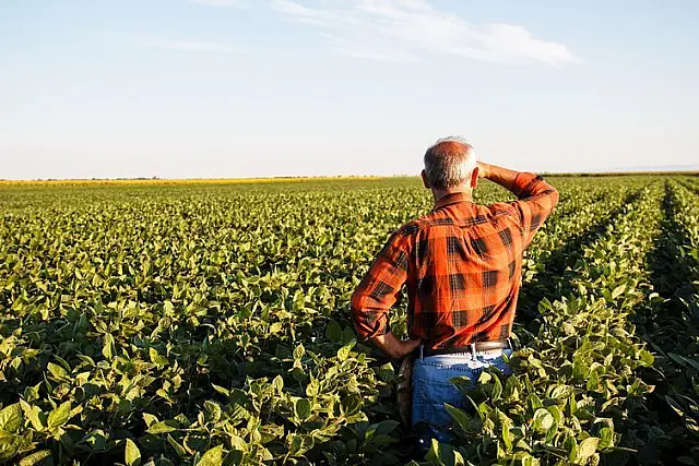 Prazo para produtor rural declarar ITR termina hoje