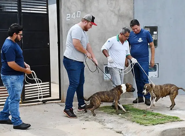 Maus-tratos contra animais: o que fazer?