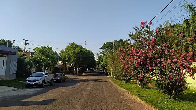 Pantanal pode ter chuva nesta quinta-feira